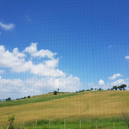 Agriturismo Bio Le 4 Stagioni Porrona Kültér fotó